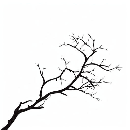 Minimalist style tree branch clipart, on a white background