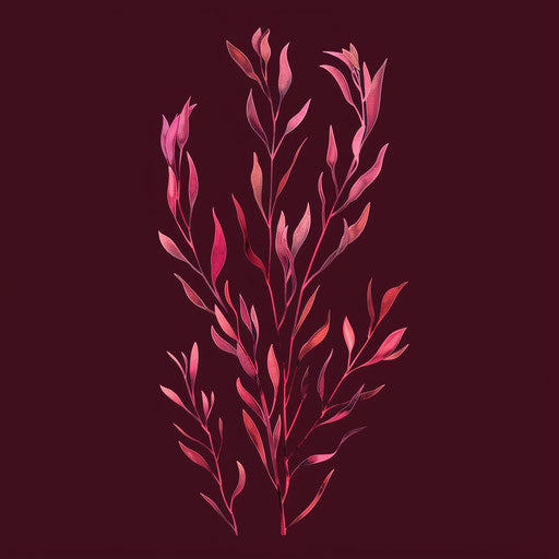 Realistic seaweed clipart on flat, rich burgundy background