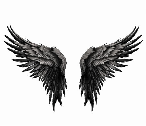 Black and white wings on transparent background, massurrealism style