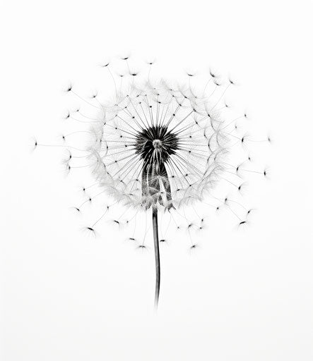 Minimalist silhouette of a dandelion on white background