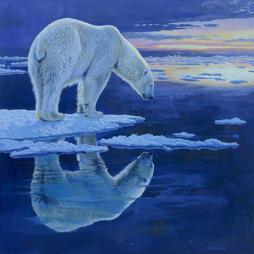 Polar bear on sea ice edge, reflection in open water at twilight