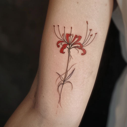 Minimalistic sketch of red spider lily with bold line and no fill