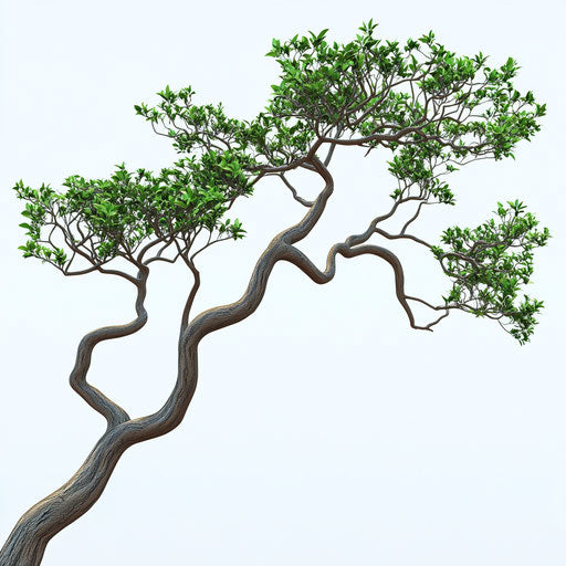 Realistic 3D tree branch on flat white background, isolated clipart