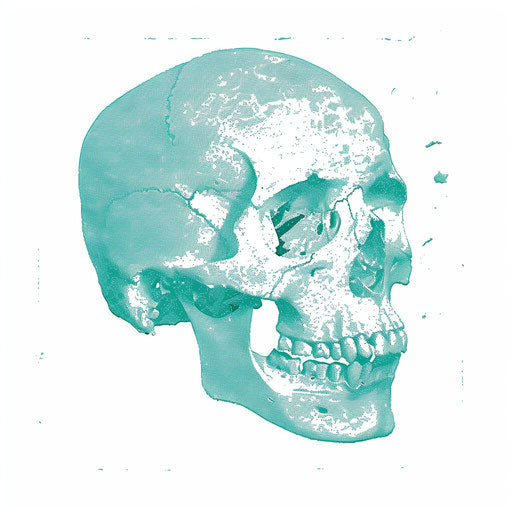 Simple skeleton skull on white background, gender-bending iconography (500-1000 CE)