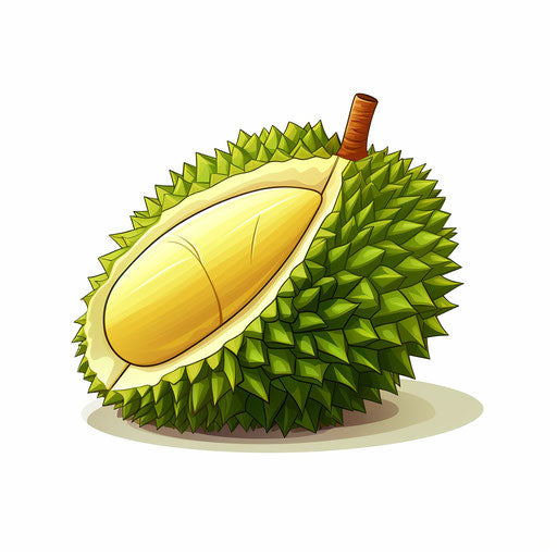 Minimalist style durian clipart, on white background