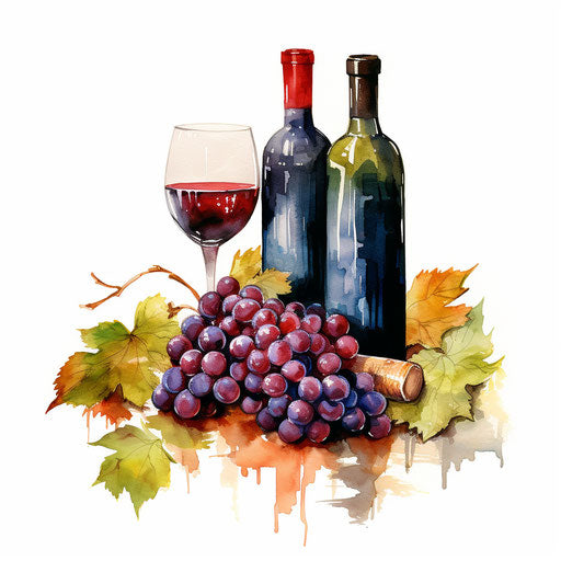Wine illustration in oil painting style, white background