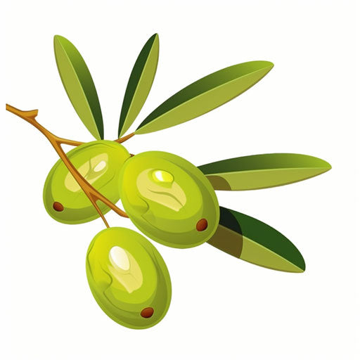 Minimalist-style olive illustration, on white background