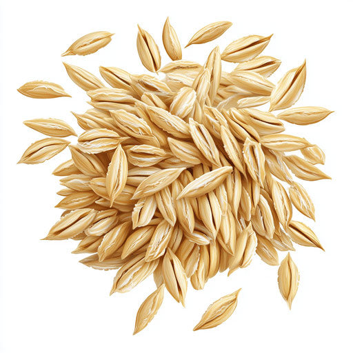 Realistic oatmeal clipart, high resolution, isolated