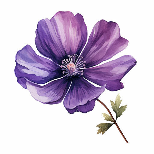 Purple flower in Oil painting style on white background