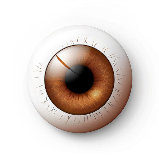 Realistic 3D eye icon with brown iris on white background