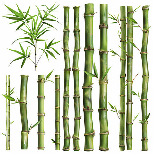 Photo realistic bamboo clipart on white background
