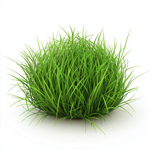 3D Easter Grass on flat white background, isolated clipart