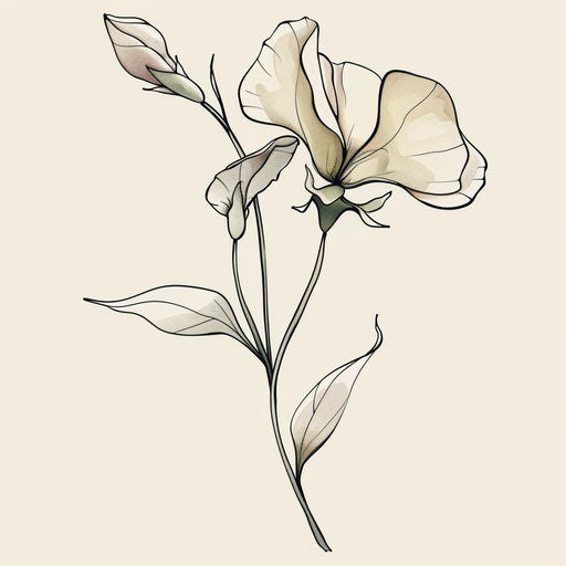 Zen sketch of a sweet pea in clipart style with smooth lines and a calm, muted color palette