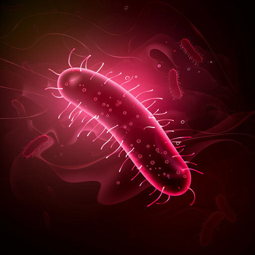 Photo realistic bacteria clipart on a rich burgundy background