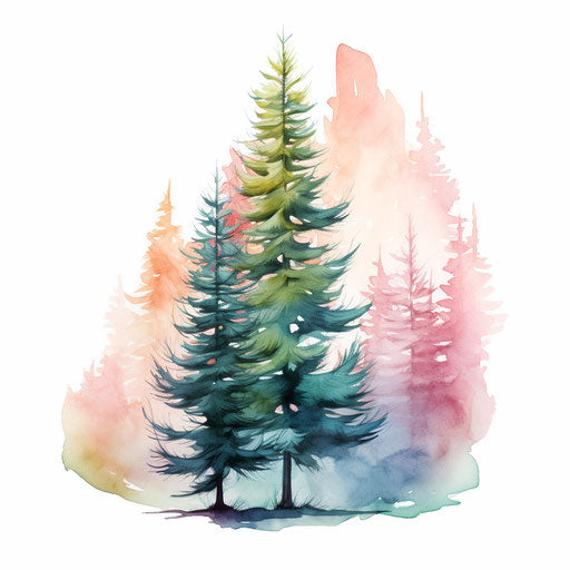 Drawing of a pine in the Pastel Colors Art style