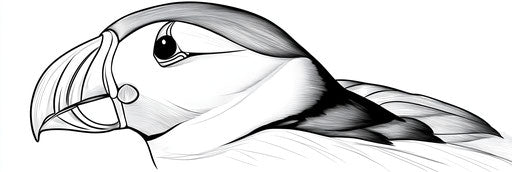 Very simple puffin coloring book page 3:1