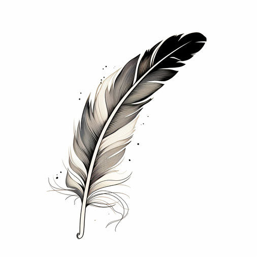 Black feather on white background, intricate minimalist style