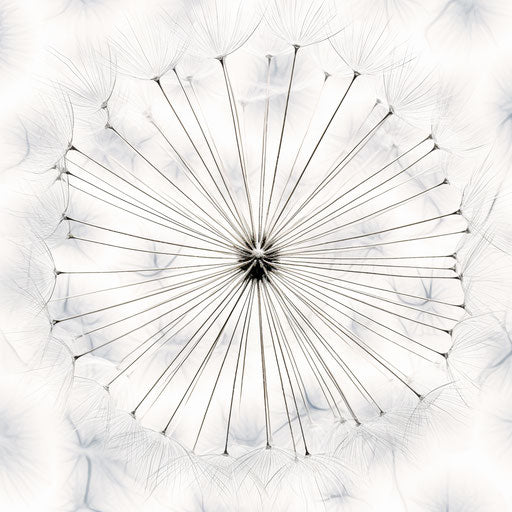 White flowers on white background