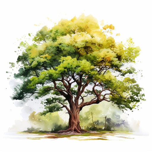 Tree clipart in the style of Oil painting, on a white background