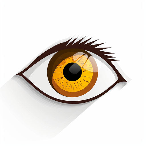 Simple and detailed eye symbol on white background