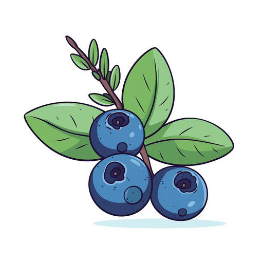Minimalist blueberry illustration on white background