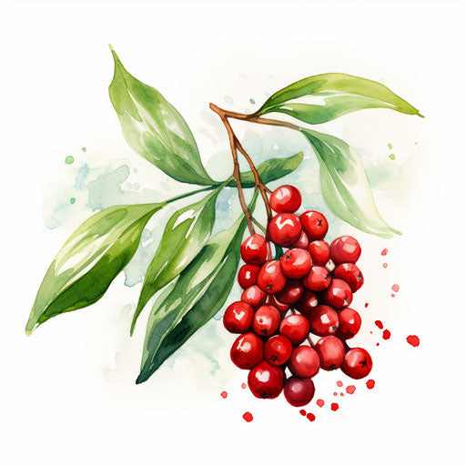 Mistletoe Garland Illustration in the Impressionistic Art style, on white background