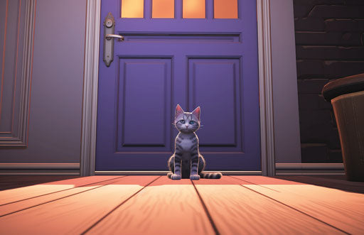 Cat in front of door facing camera