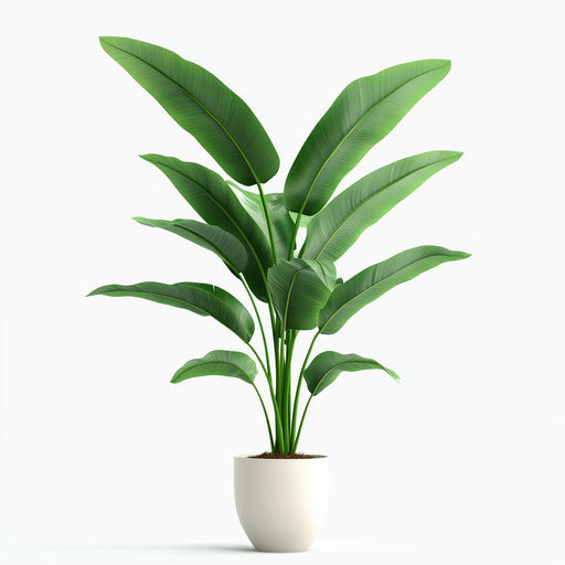 3D plant in photorealistic style on flat white background