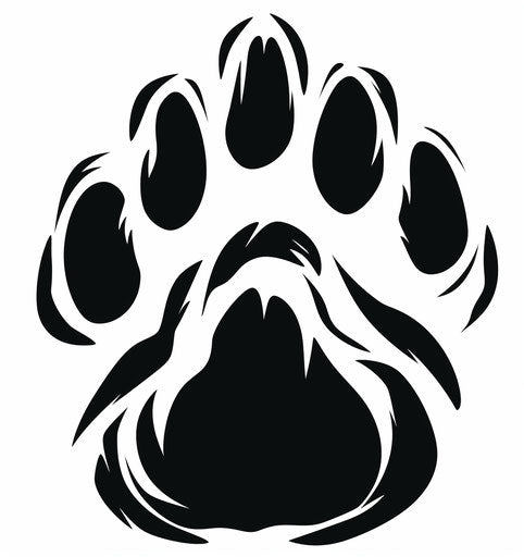 Black bear paw print in vector stock image
