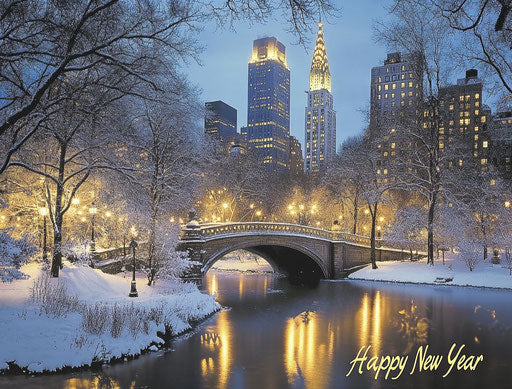 Central Park in winter under a soft moonlight
