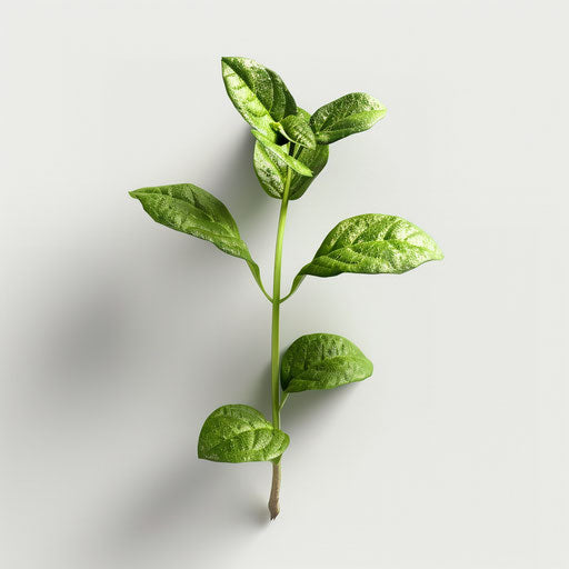 Realistic stem clipart on white background with glossy finish