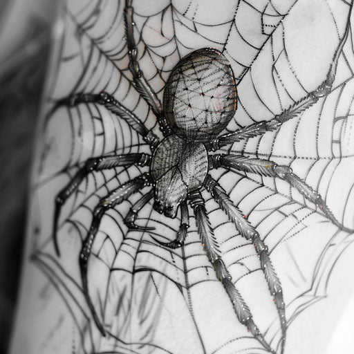 Intricate spider web with lurking black widow, horror tattoo on white canvas