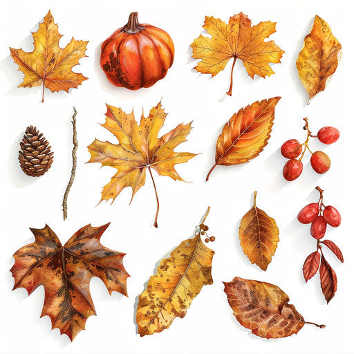 Autumn clipart images in a photo-realistic style on white background