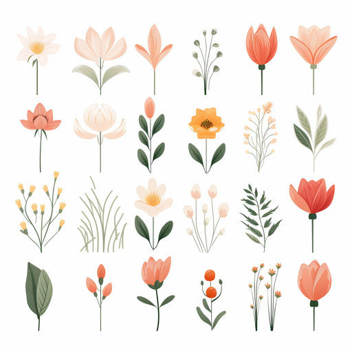 Spring flowers Minimalist style, on white background