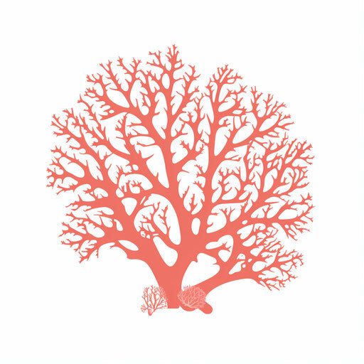 Coral clipart in the Minimalist style, on white background