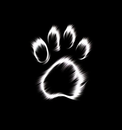 Dog paw: dreamy romantic humor in black and white