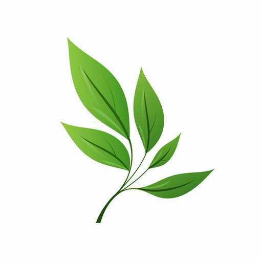 Green leaf in Minimalist style on white background