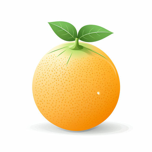 Minimalist style melon on white background