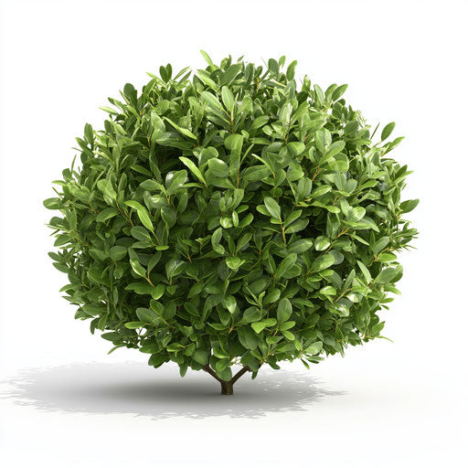 3D bush on flat white background, isolated clipart