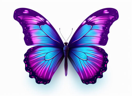Purple and blue butterfly isolated on white, realistic yet stylized