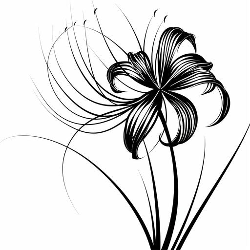 Spider lily tattoo in black and white
