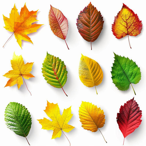 Photo realistic clipart of months of the year on flat white background