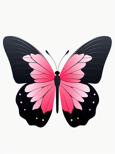 Arctic pink butterfly with black wings