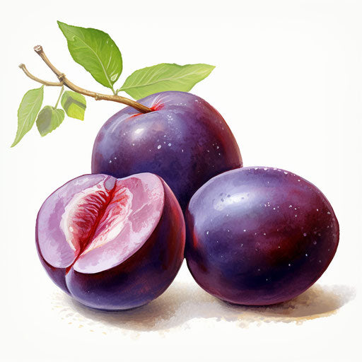 Plum clipart in the style of Impressionistic Art, on a white background