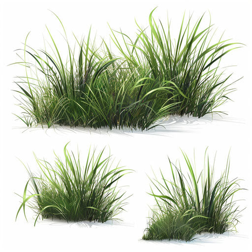 Realistic grass clipart on flat white background