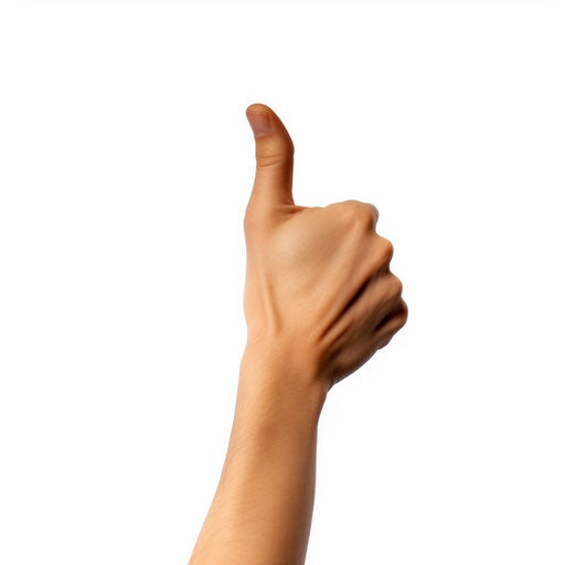 Minimalist clipart on white background