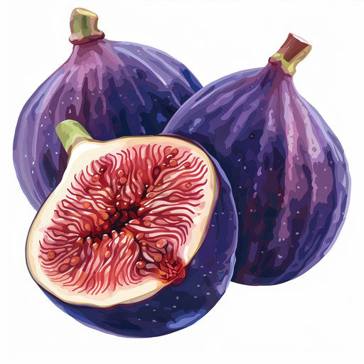 Photo-realistic fig clipart on white background