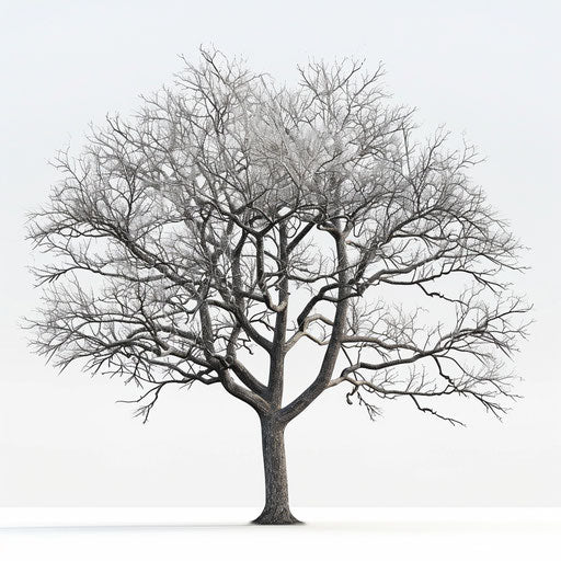 Realistic bare tree clipart on flat white background