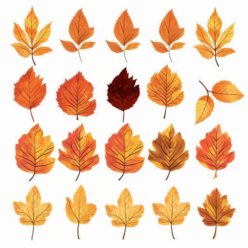 Minimalist autumn leaves on white background