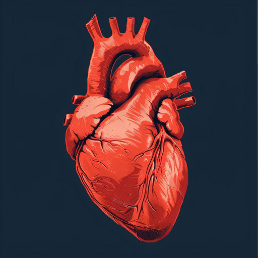 Heart in light red and dark navy style, reduced function